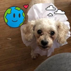 Meet your Posher, Beverly